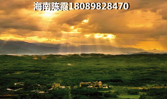 德盛南岛康城房价十年之内会跌吗