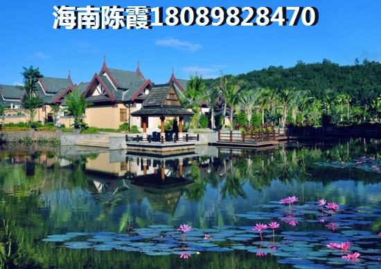 在海南买公寓还是商铺好