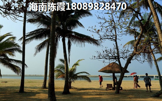 >2024海南买房指南