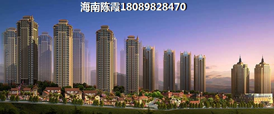 只交两险在海南可以买房吗