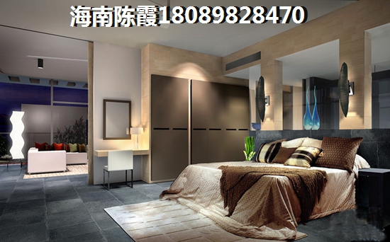 屯昌在哪个项目酒店式公寓生纸大？