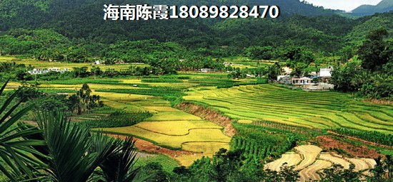 2035年海南房价
