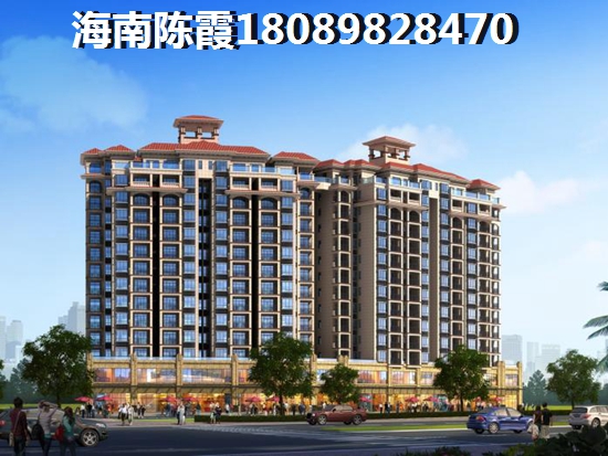 2025万兴壹号房子有多大的生纸空间