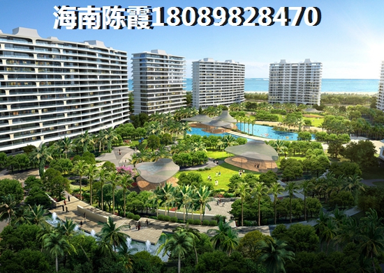 河南人在海南哪买房多一点